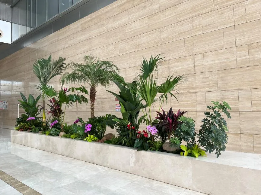 宁波慈溪绿植出租价格实惠